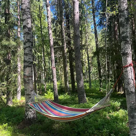 Loeyttyjaervi Karkkila